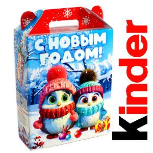 Детский подарок на Новый Год в жестяной упаковке весом 830 грамм по цене 3297 руб в Тотьме